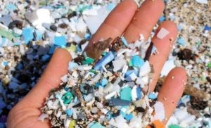 Le micro e nanoplastiche